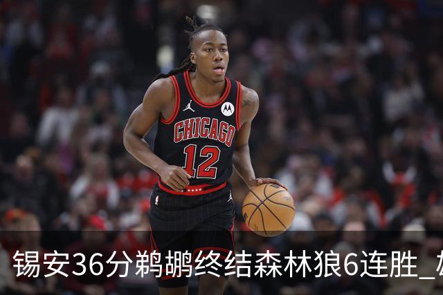 锡安36分鹈鹕终结森林狼6连胜 雄鹿险胜公牛
